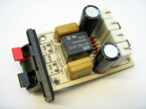 Mono speaker protector