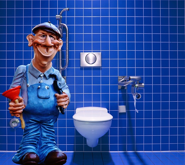 Education and Careers - Who wants to be Plumber anybody?